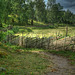 The Fence of Stensjö By