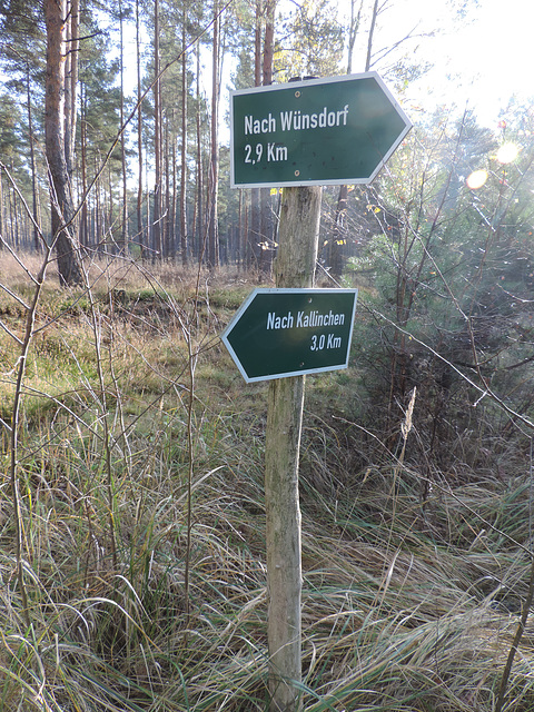 Wegweiser in der Zossener Heide