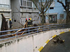 Almada - aftermath of a windstorm