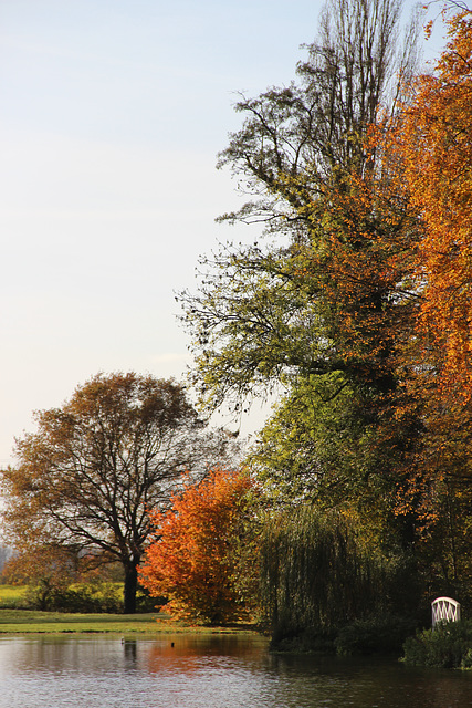 Park im Spätherbst