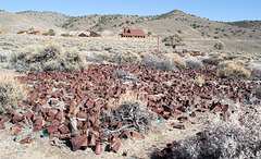 Berlin-Ichthyosaur State Park, NV (0743)