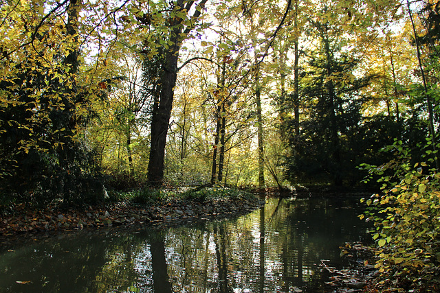 Park im Spätherbst