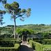Villa Bordoni Greve in Chianti Tuscany 052414-002