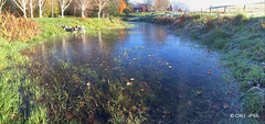 On Frozen Pond..