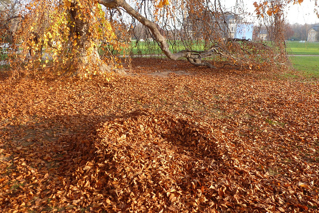 Herbstimpressionen - aŭtunaj efektoj