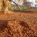 Herbstimpressionen - aŭtunaj efektoj