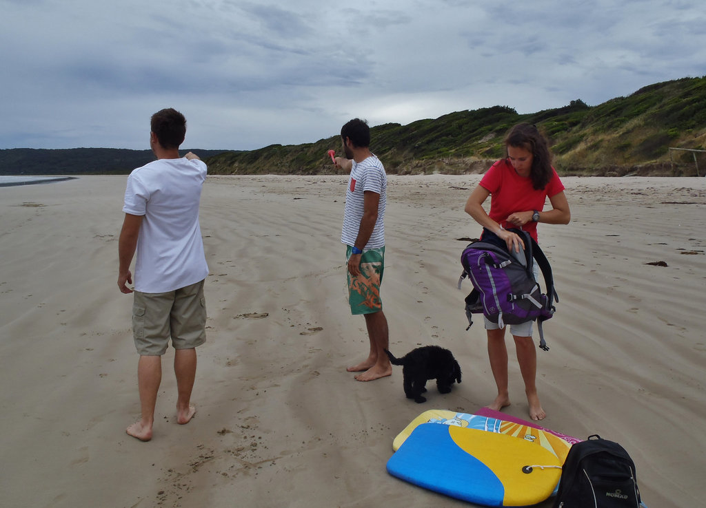 Elvis' first day at the beach