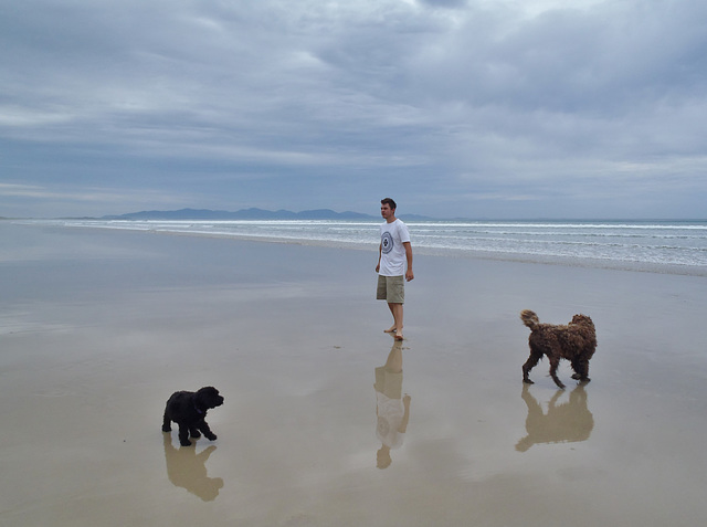 Elvis' first day at the beach