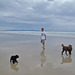 Elvis' first day at the beach