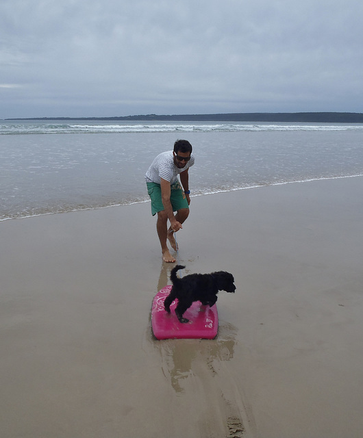 Elvis' first day at the beach