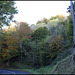 Forêt de ravin en automne