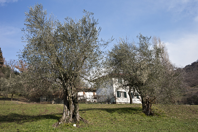 Iseo - Brescia