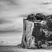 Cliff - 20140814 Cliff - 20140814