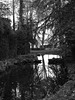 reflet d automne