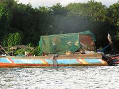 Pêcheuses battant le poisson.