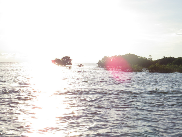 Tonle Sap, 2