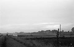 Fields in cloudy morning