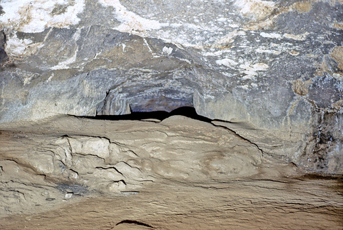 15-floor_hummocks