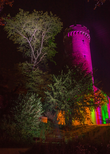 Zülpich Landesgartenschau 2014 DSC07881