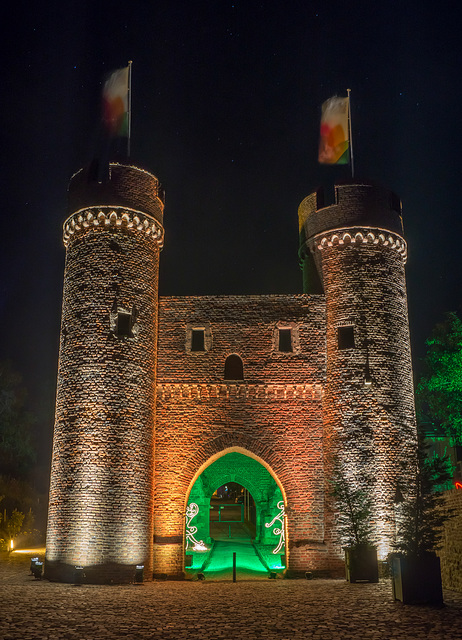 Zülpich Landesgartenschau 2014 DSC07871