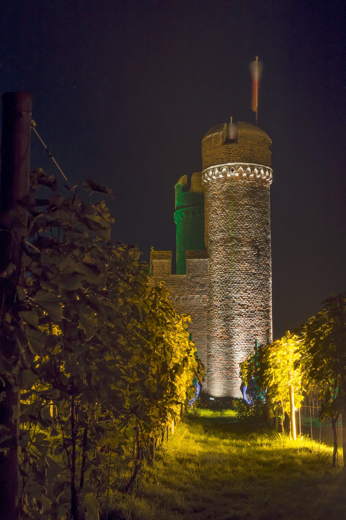 Zülpich Landesgartenschau 2014 DSC07843