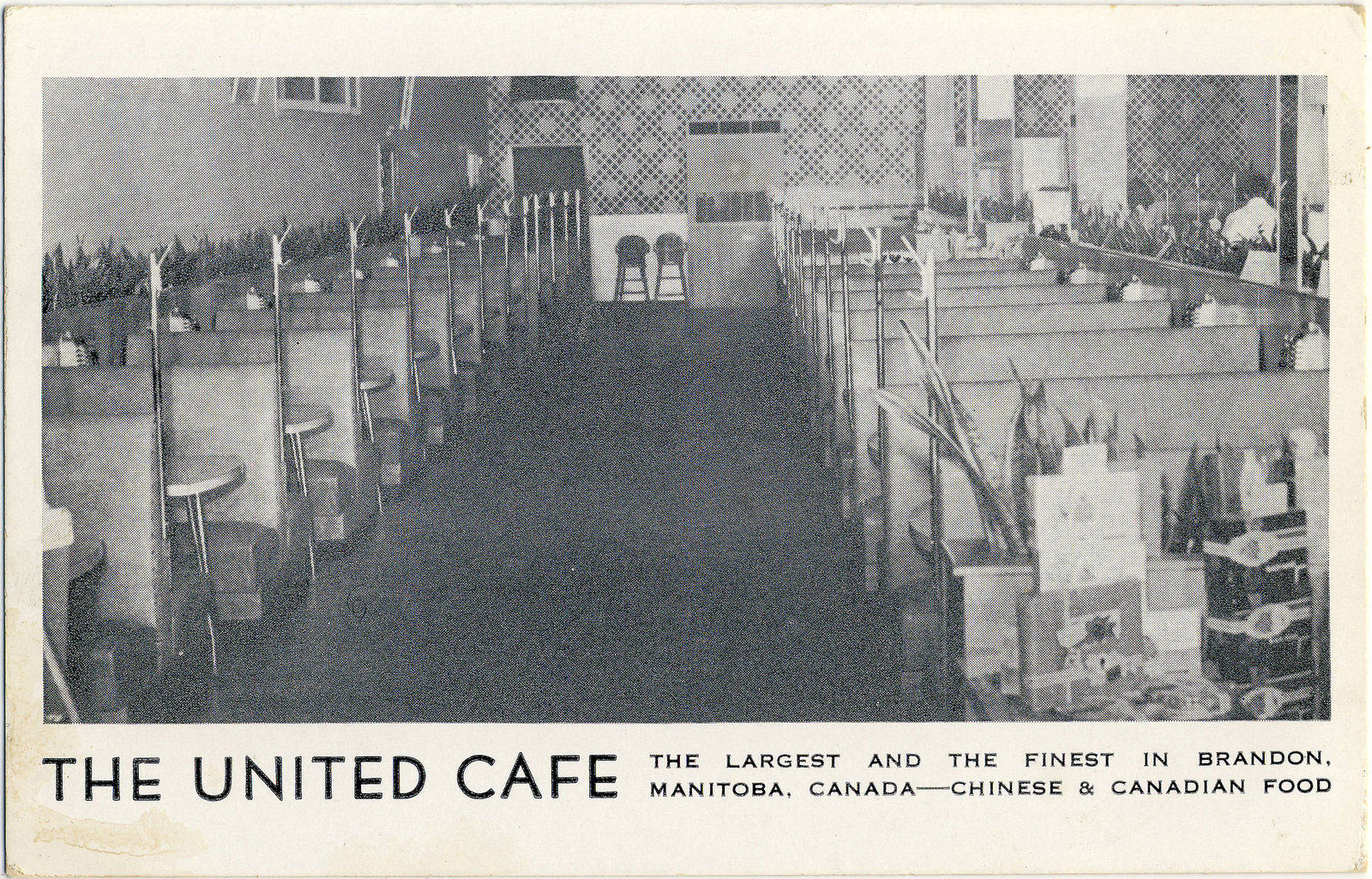 4421. The United Cafe [Brandon, Man.]