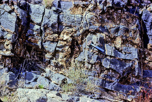38-styl&chert_in_outcrop_adj