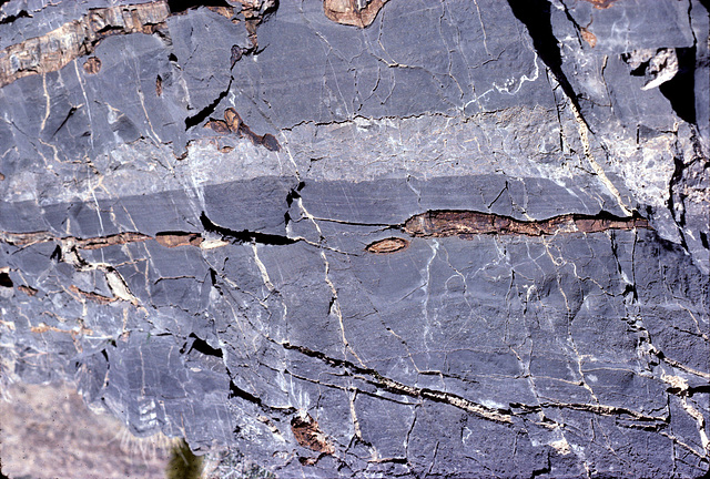 25-styl&chert_in_outcrop_adj