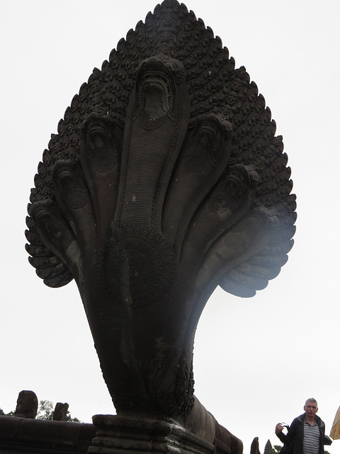 Angkor Vat : naga