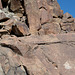 Corn Springs CA petroglyphs (0573)