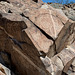 Corn Springs CA petroglyphs (0576)