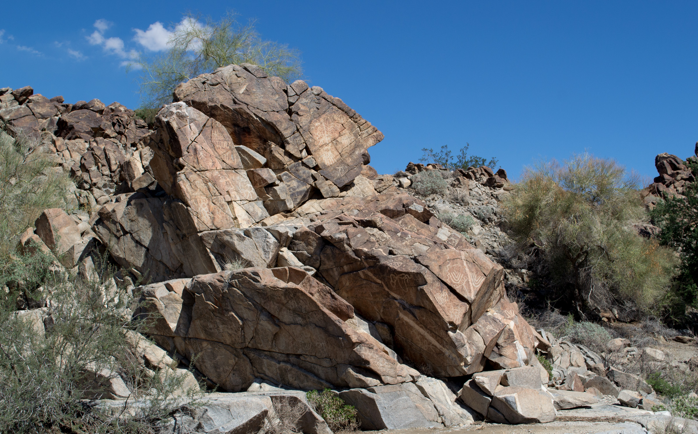 Corn Springs CA petroglyphs (0579)