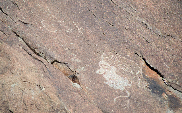 Corn Springs CA petroglyphs (0588)