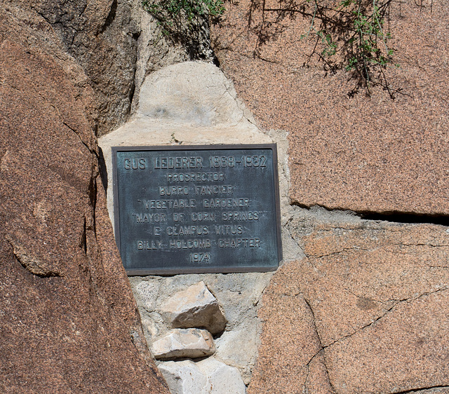 Corn Spring CA petroglyphs (0589)