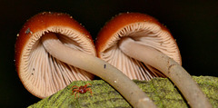DSC 0145