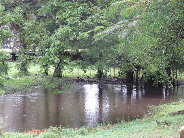 Angkor Vat : Parc dans la 4e enceinte.