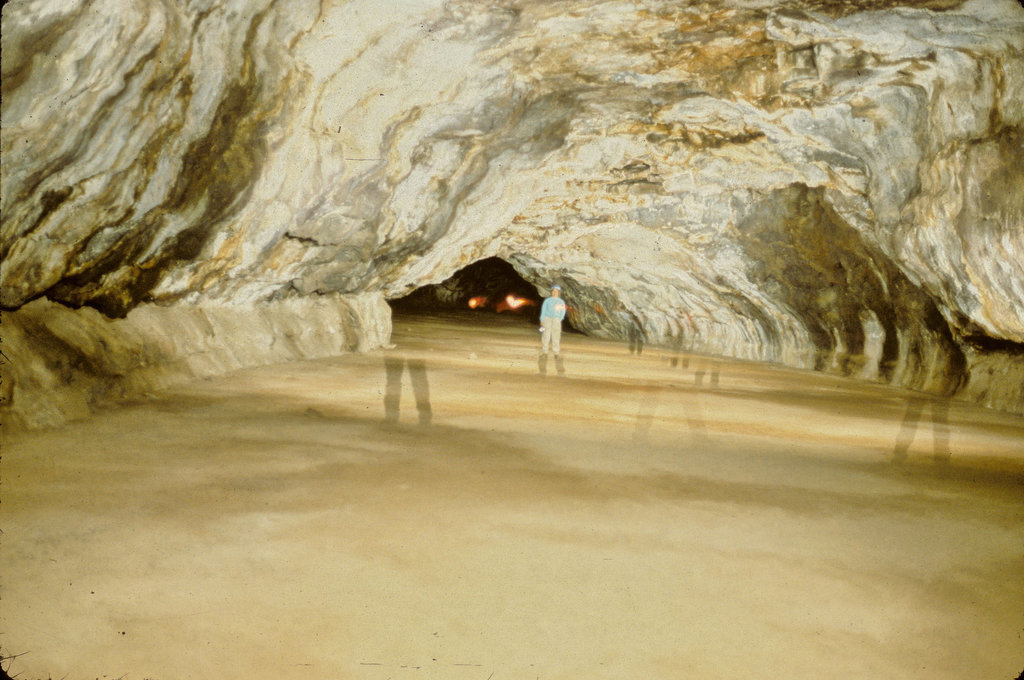 gallery_view-r