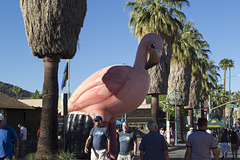 Palm Springs 2014 Gay Pride festival (1184)