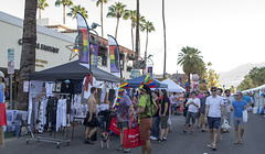 Palm Springs 2014 Gay Pride festival (1198)