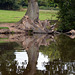 Canal reflections