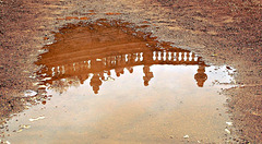 puddle at the Zwinger (Dresden)