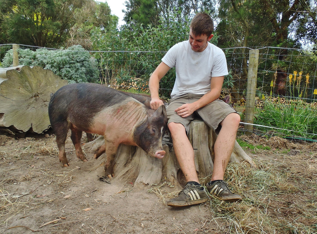 Derek and  his animal charm