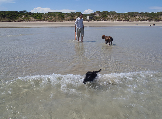 Sunday at the beach