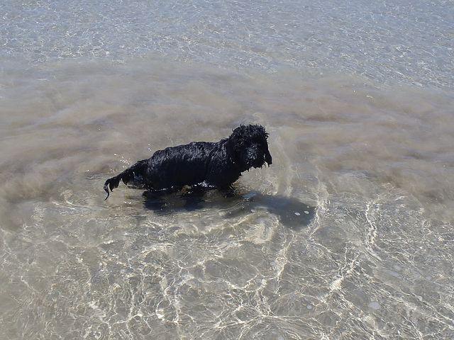 Sunday at the beach