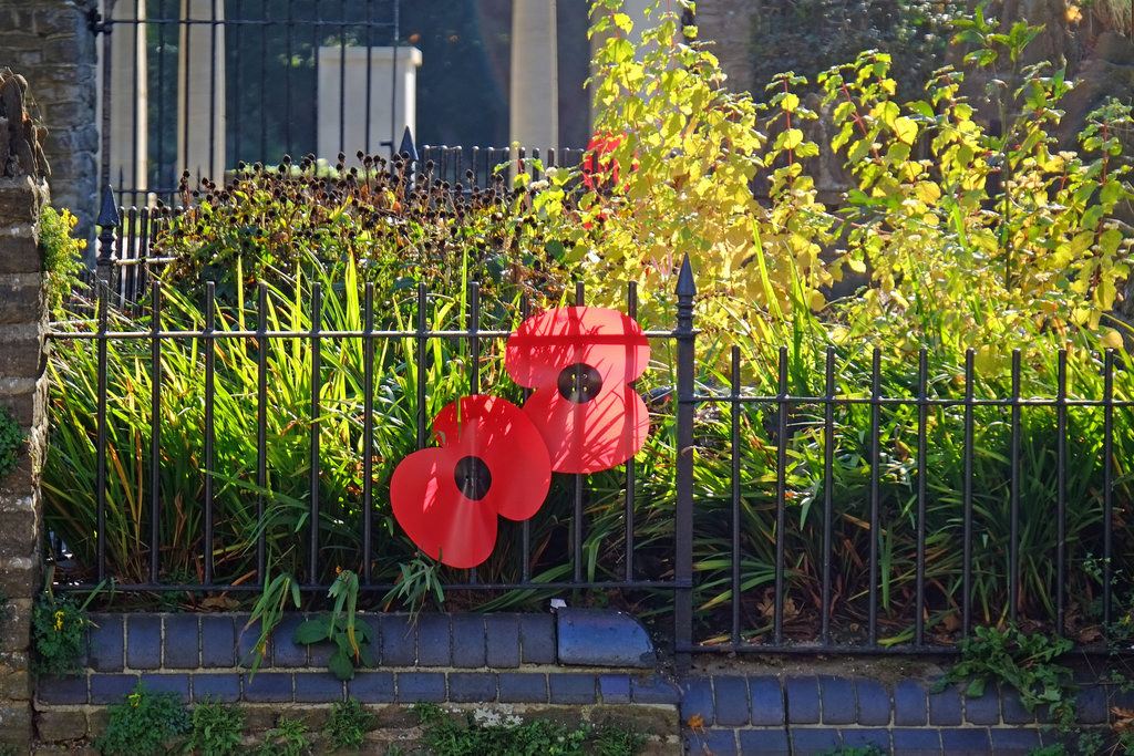 Guildford Poppies 1