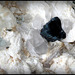 Tourmaline bleue et Quartz -Pakistan