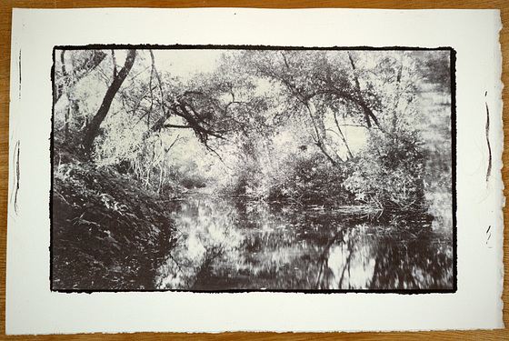 Santa Rosa Creek Salt Print