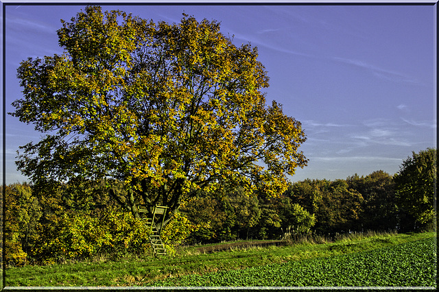 Herbst