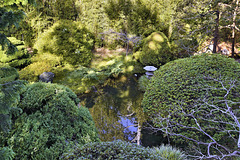 The Sunken Garden – Japanese Tea Garden, Golden Gate Park, San Francisco, California The Sunken Garden – Japanese Tea Garden, Golden Gate Park, San Francisco, California