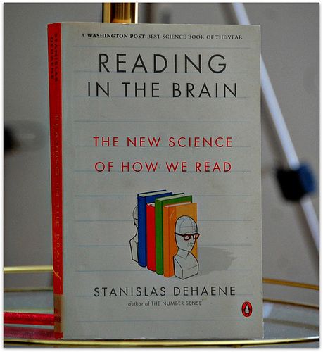 Reading in the Brain